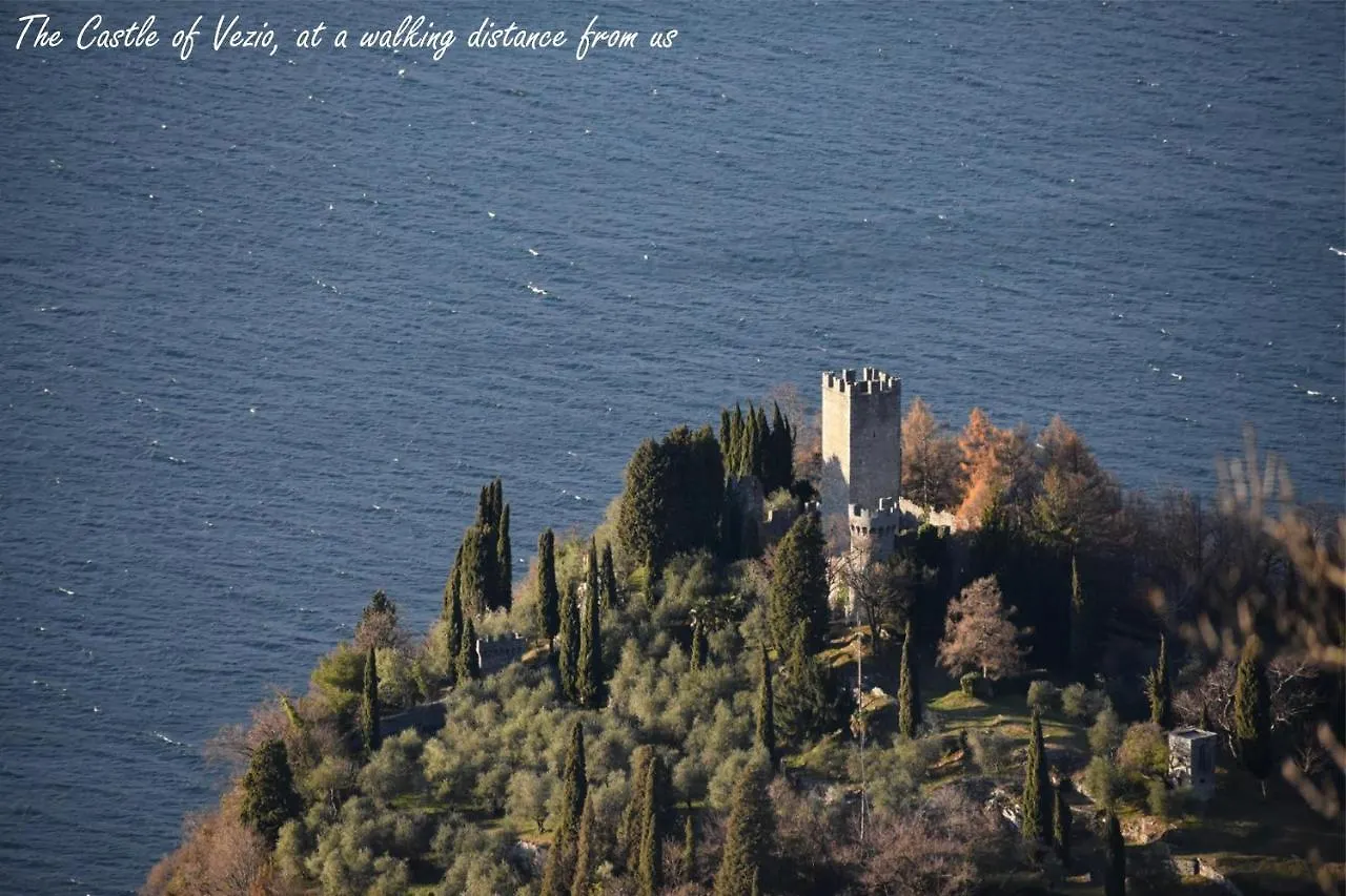 Agriturismo Conca Sandra - Farm Stay On Lake Como Perledo Appartement