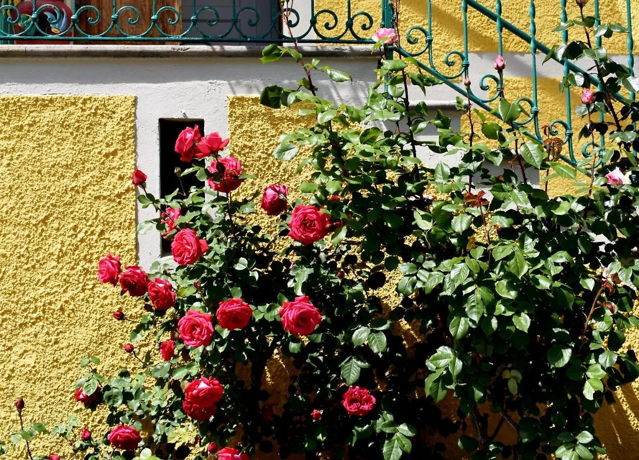 Agriturismo Conca Sandra - Farm Stay On Lake Como Perledo Appartement