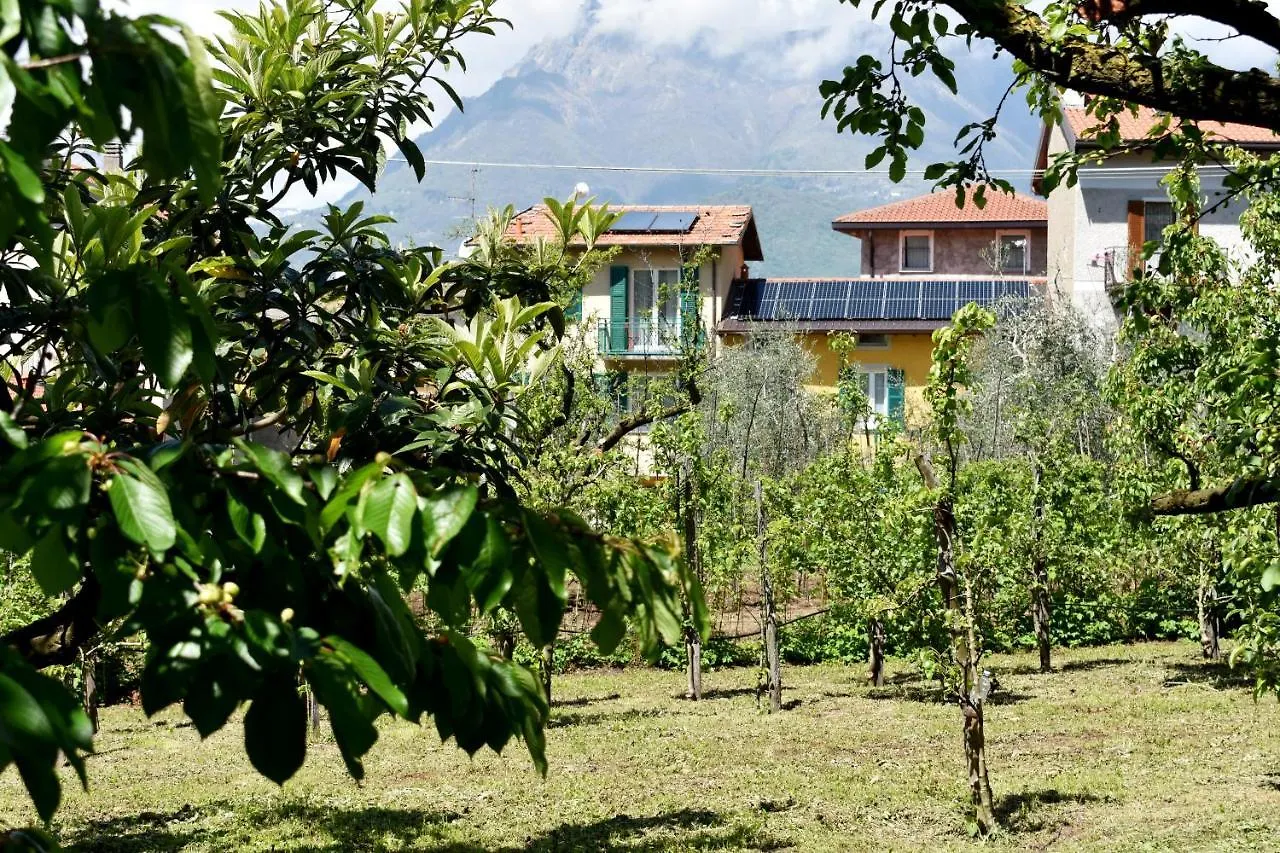 Agriturismo Conca Sandra - Farm Stay On Lake Como Perledo Appartement