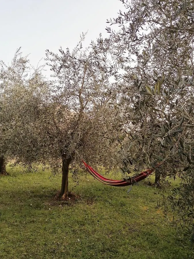 Agriturismo Conca Sandra - Farm Stay On Lake Como Perledo 0*,