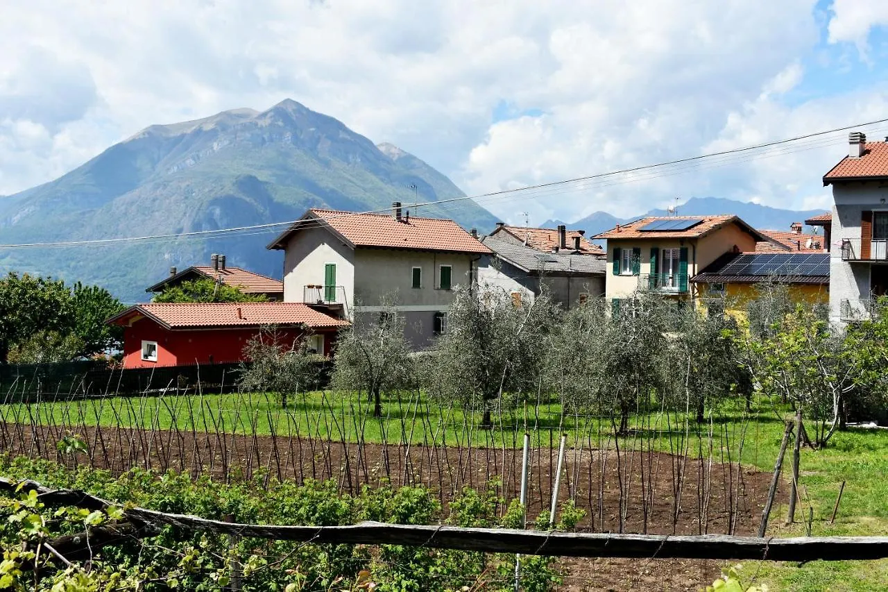 Agriturismo Conca Sandra - Farm Stay On Lake Como Perledo Italie